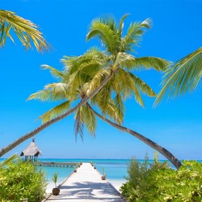 博鱼·体育中国入口