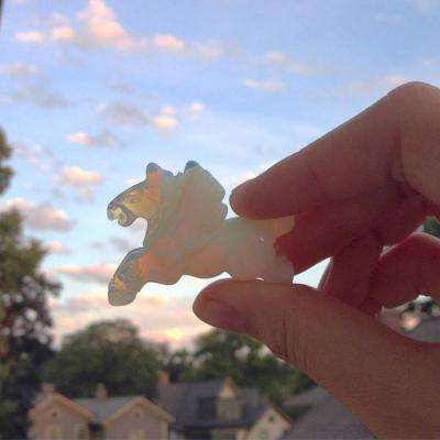 江南官方体育登录入口