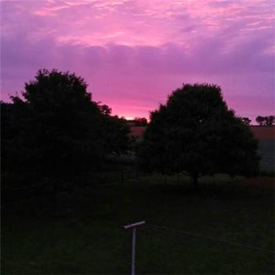 皇冠正规娱乐平台手机app下载截图